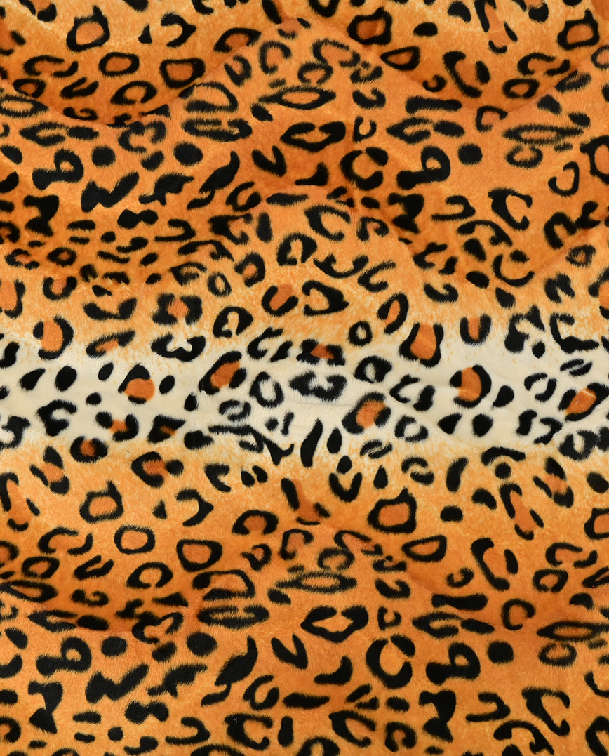 Velboa s-vlna leopardí