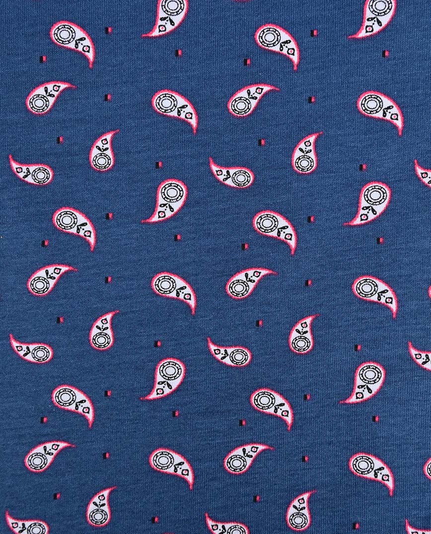 Úplet paisley