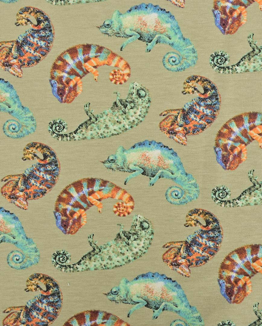 Úplet chameleon